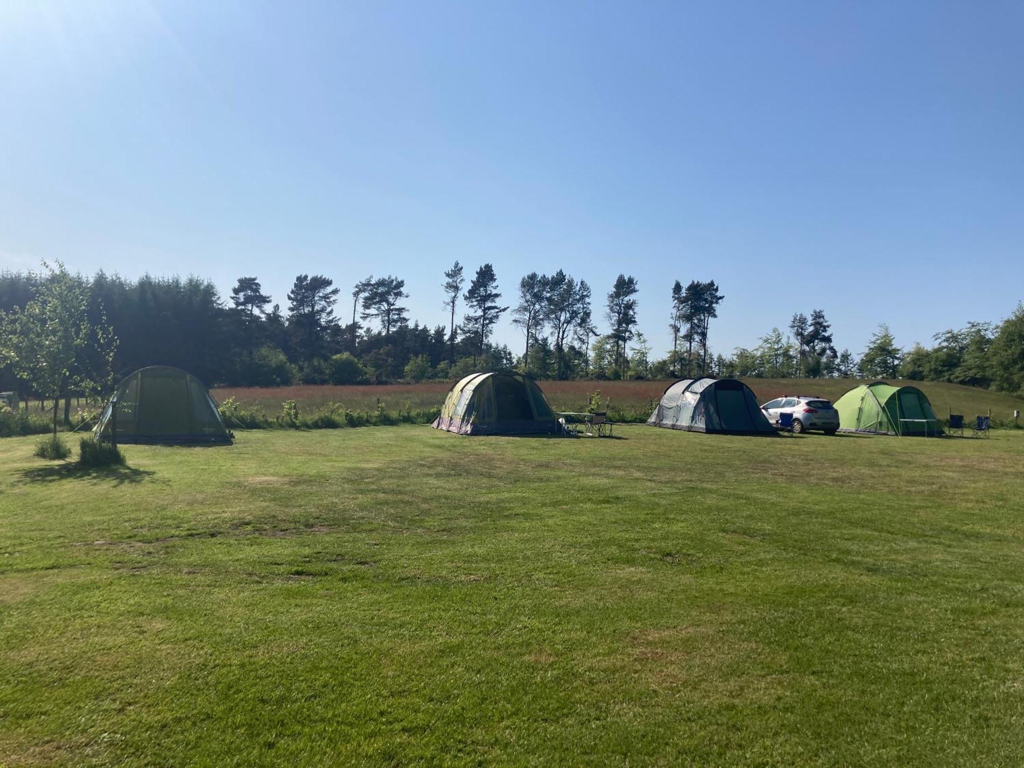 Bank Top Camping-North York Moors With Pitches For Caravans, Camper Vans And Tents Hotel Pickering Kültér fotó